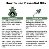 1 × Citronella Essential Oil - 4 oz.