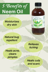 Neem Oil (Organic) - 4 oz