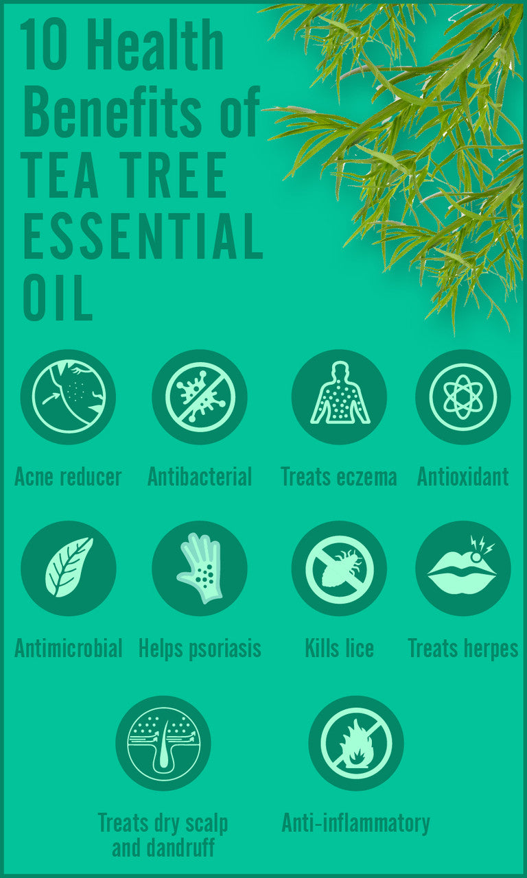Tea Tree Essential Oil - 4 oz.
